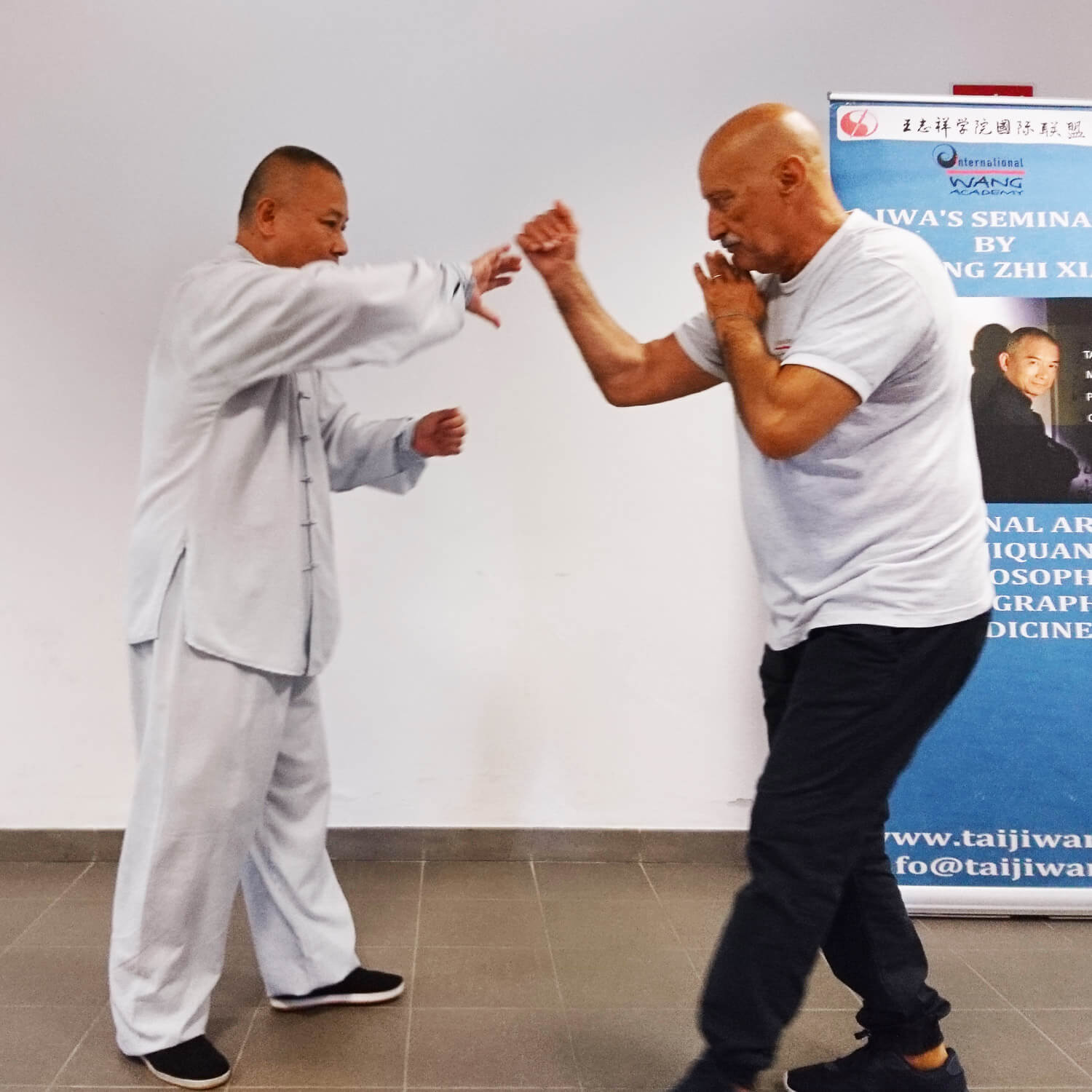 pratica taiji wang academy