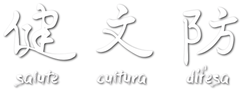 salute cultura difesa calligrafia maestro wang